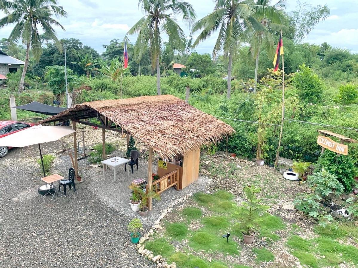 Coconut Inn Moalboal Exterior foto